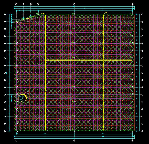凯里东营金岭化工大王煤棚网架